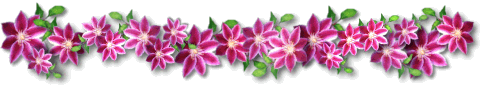cmbar.gif (25540 bytes)